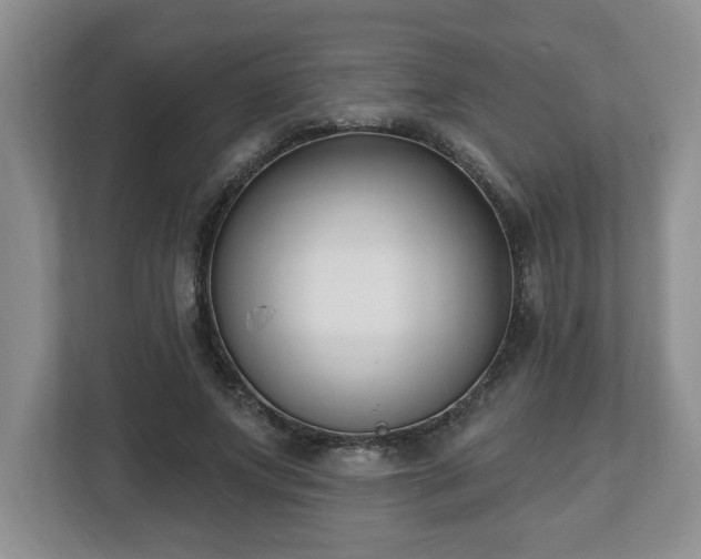 X0000112540687200908241527