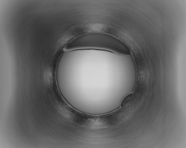 X0000112540688200908241527