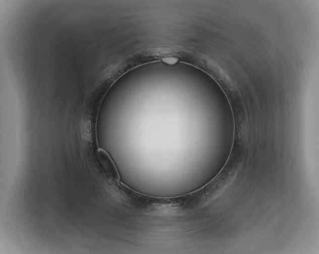 X0000112540689200908241527