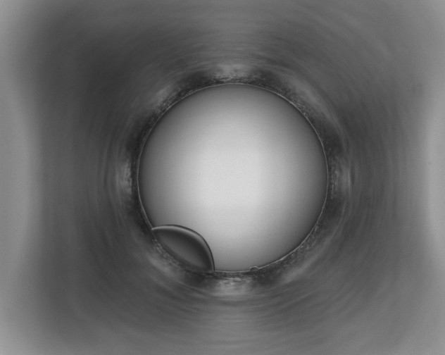 X0000112540700200908241527