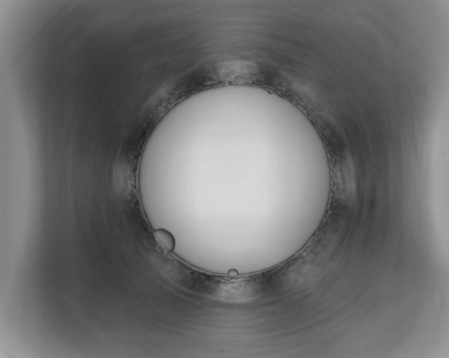 X0000112540705200908241527