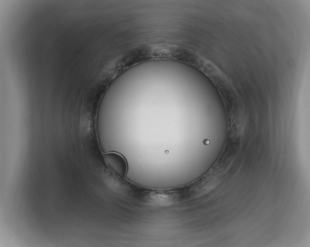 X0000112540706200908241527