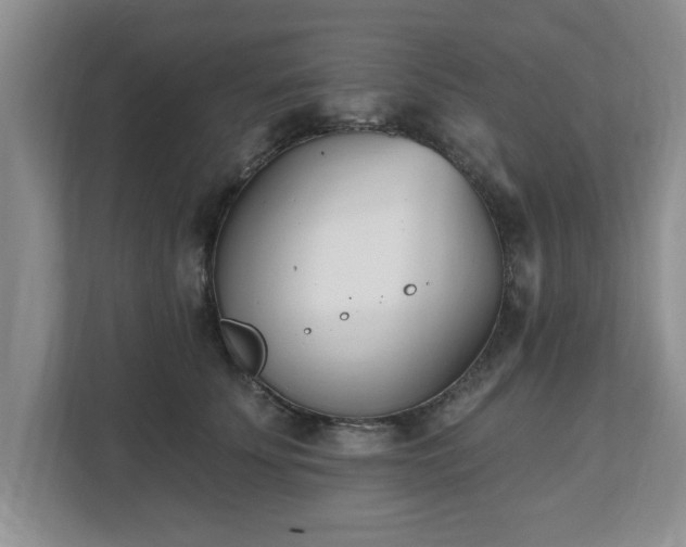 X0000112540707200908241527