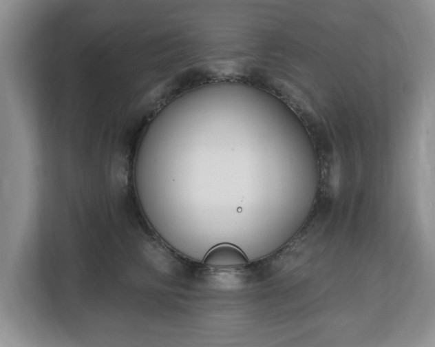 X0000112540710200908241527