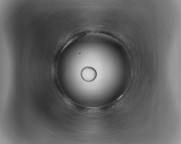 X0000112540720200908241527