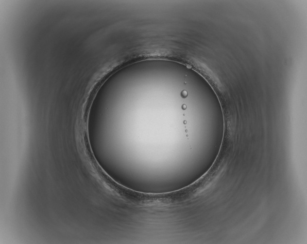 X0000112540721200908241526