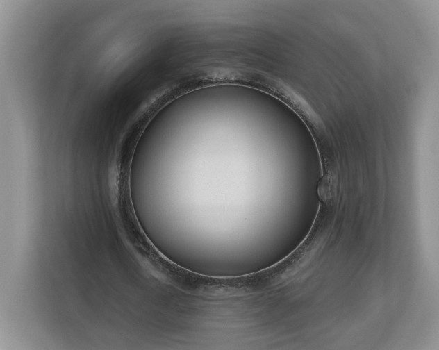 X0000112540722200908241526