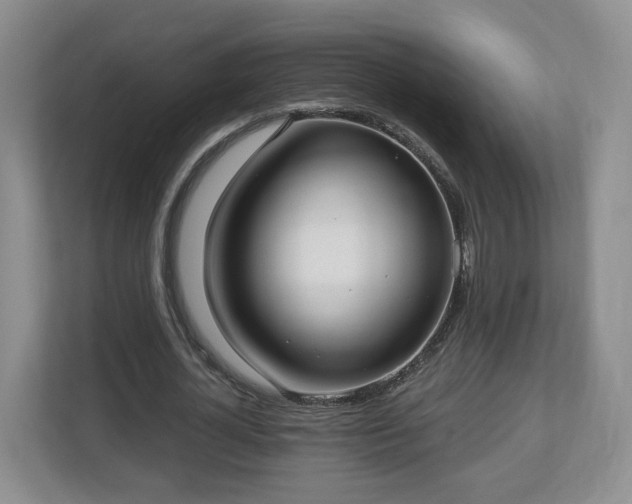 X0000112540724200908241526