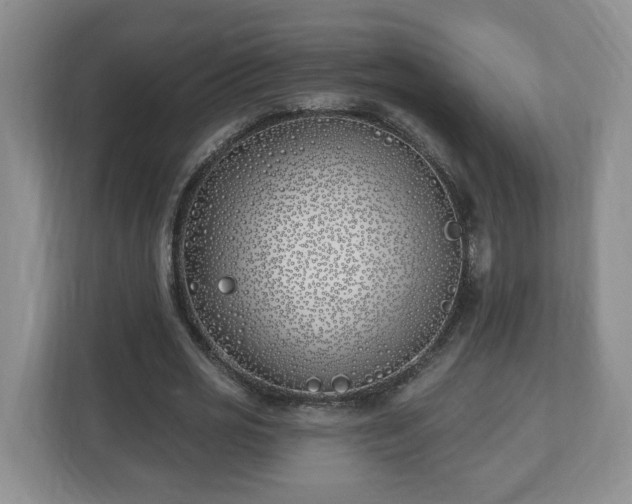 X0000112540725200908241526