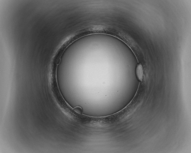 X0000112540728200908241526