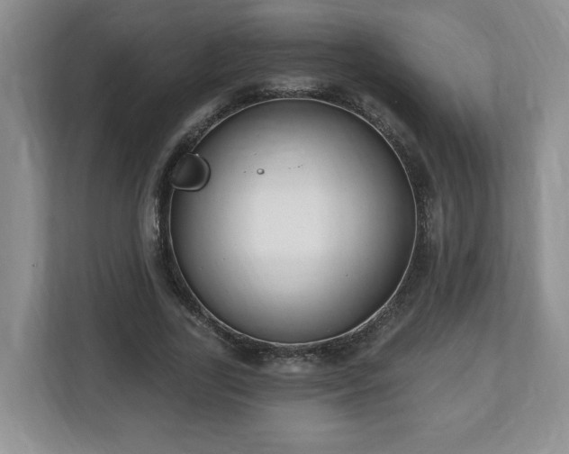 X0000112540731200908241526