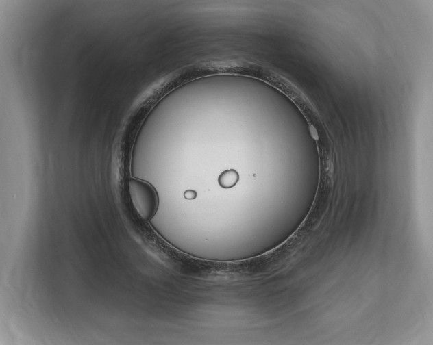 X0000112540732200908241526