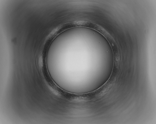 X0000112540734200908241526