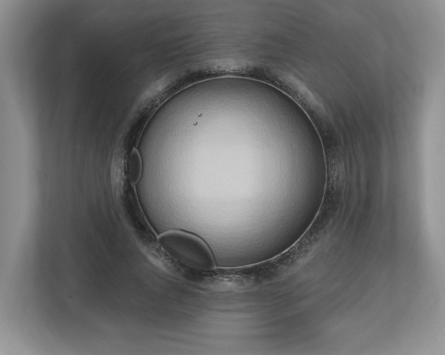 X0000112540736200908241526