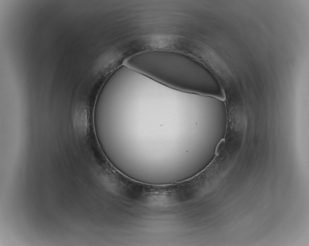 X0000112540740200908241526