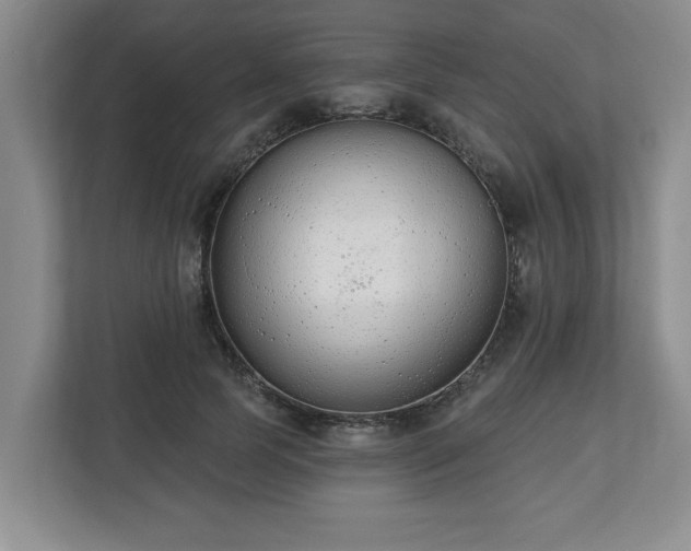X0000112540745200908241526