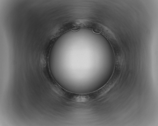 X0000112540751200908241526