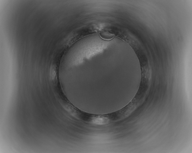 X0000112540754200908241526