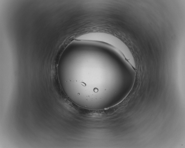 X0000112540756200908241526