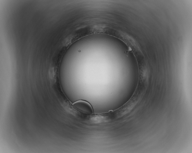 X0000112540759200908241527