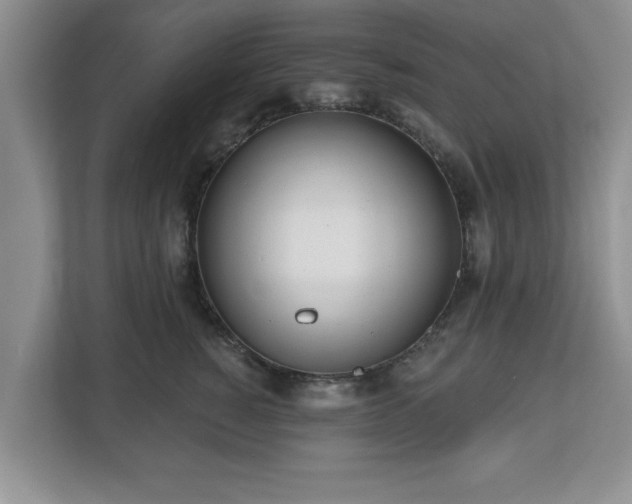 X0000112540760200908241527
