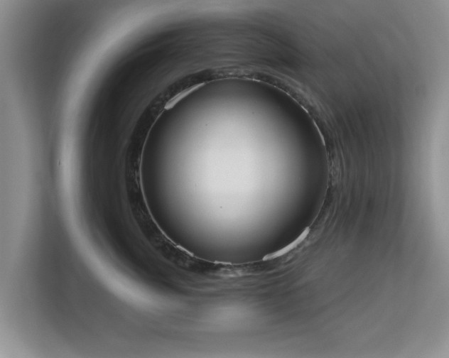 X0000112540764200908241527