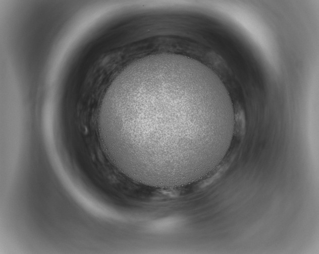 X0000112540765200908241527