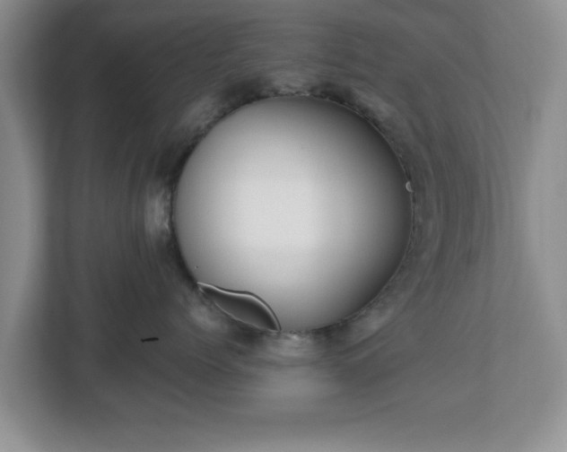 X0000112540768200908241527