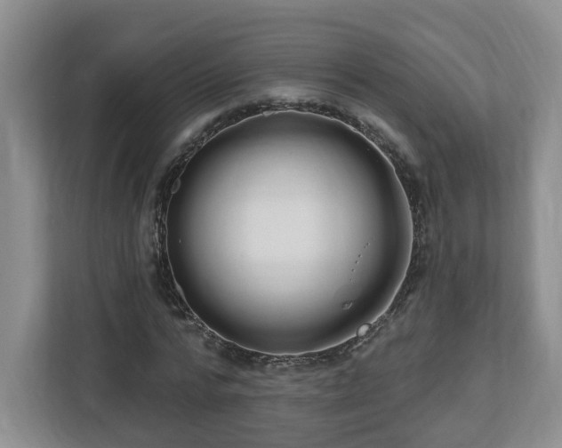 X0000112540776200908241526