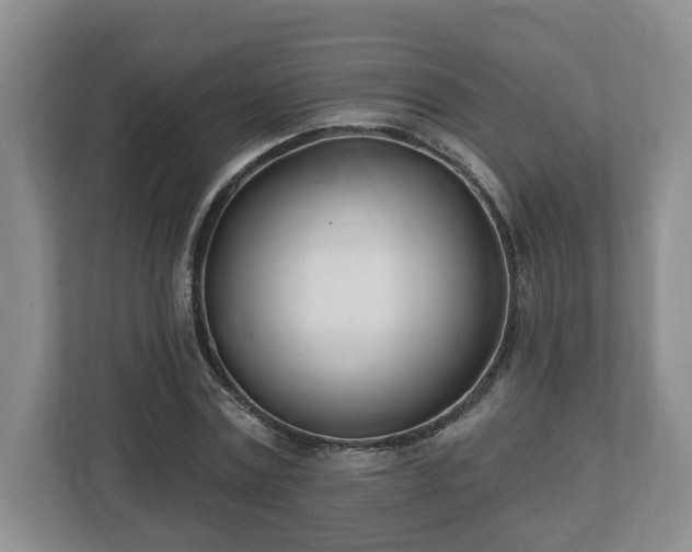 X0000112540779200908241526