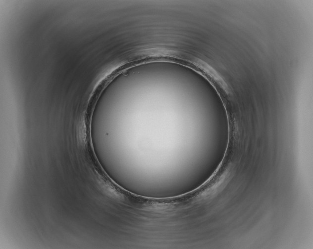X0000112540782200908241526