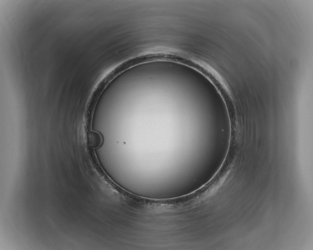 X0000112540783200908241526