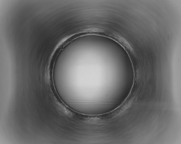 X0000112540784200908241526