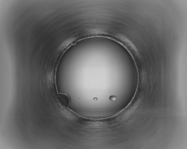 X0000112540785200908241526