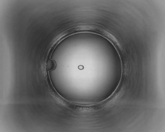 X0000112540786200908241526