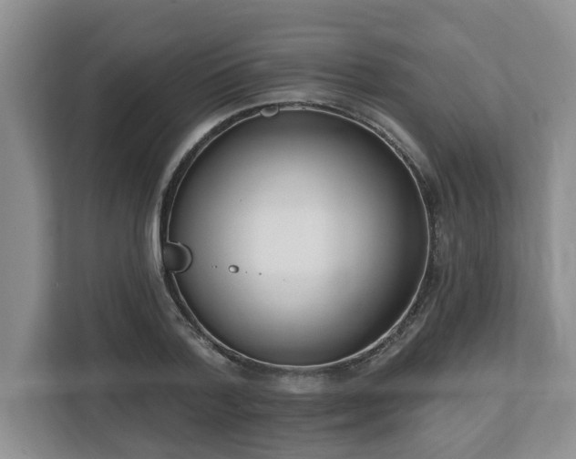 X0000112540788200908241526