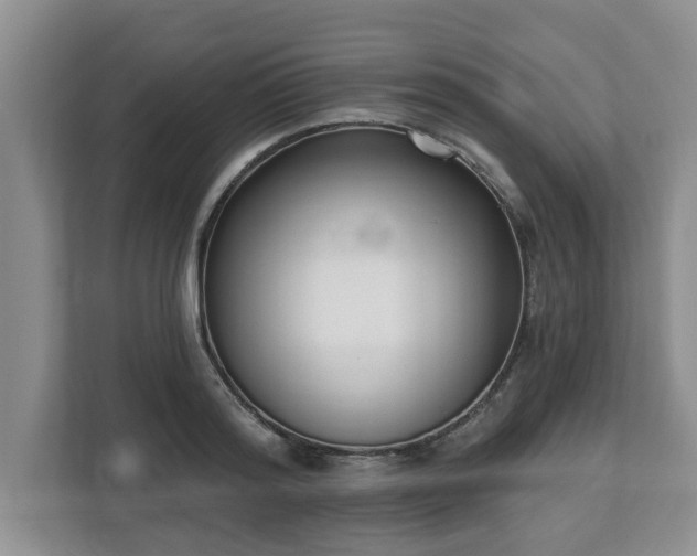 X0000112540796200908241526
