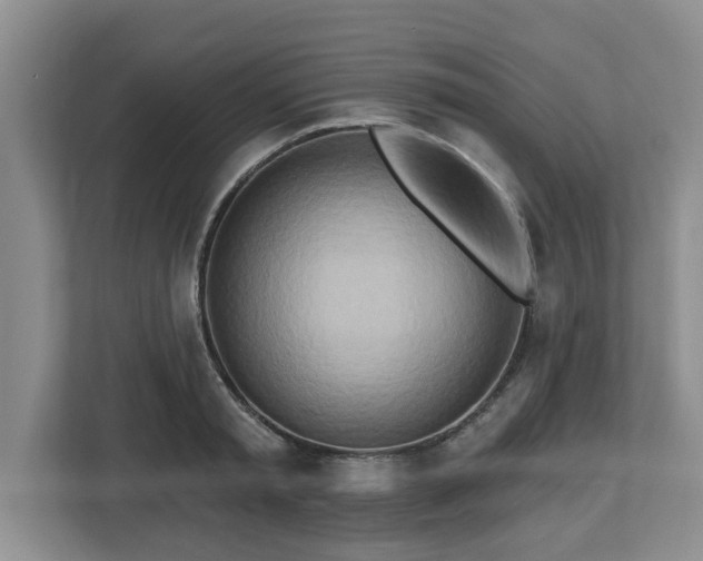 X0000112540797200908241526