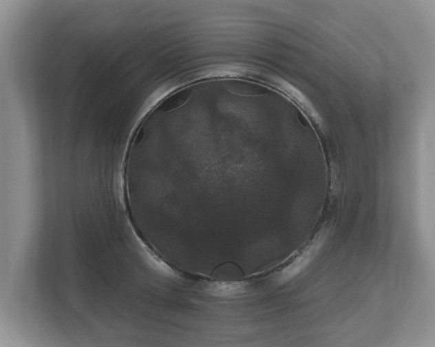 X0000112540802200908241526