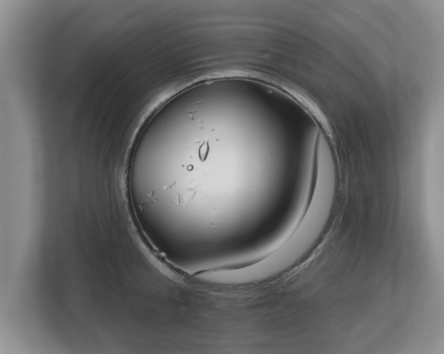 X0000112540805200908241526