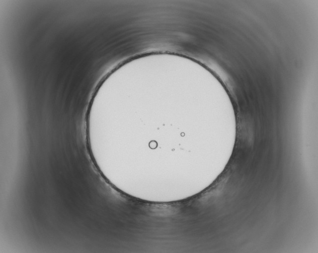 X0000112540807200908241525
