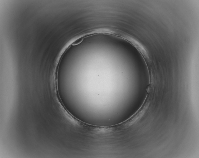 X0000112540808200908241525