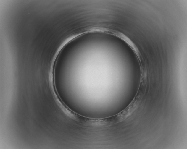 X0000112540811200908241525