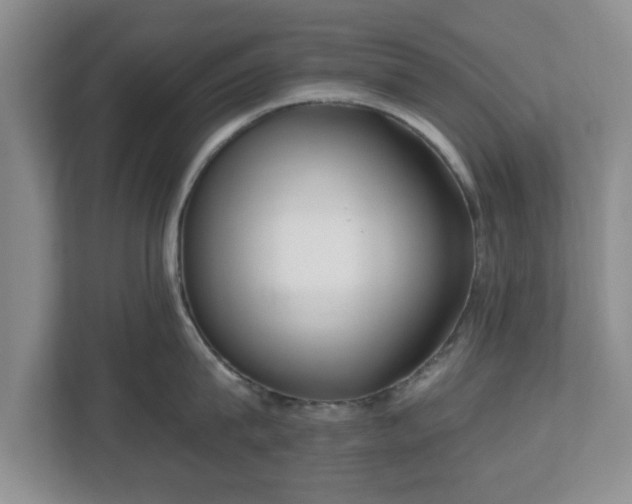 X0000112540815200908241525