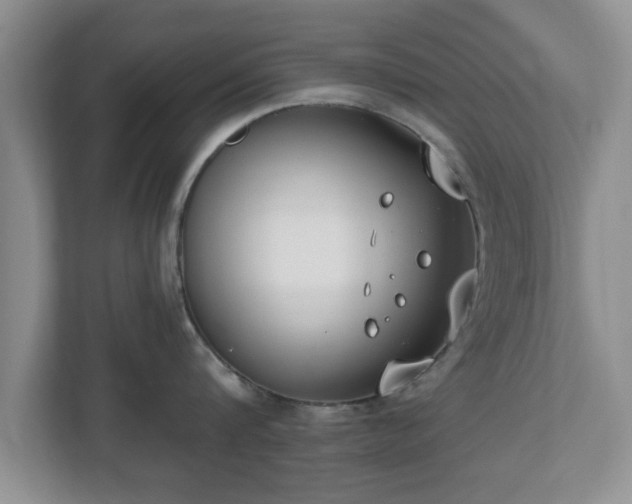 X0000112540816200908241525