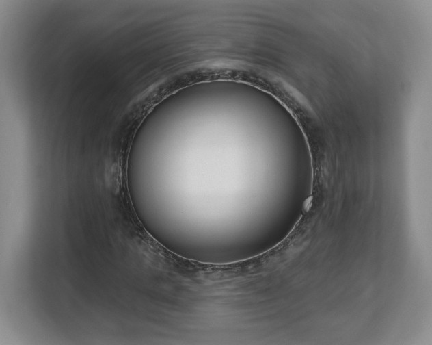 X0000112540821200908241525