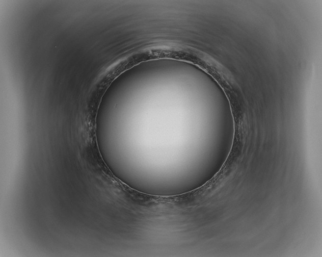 X0000112540822200908241525