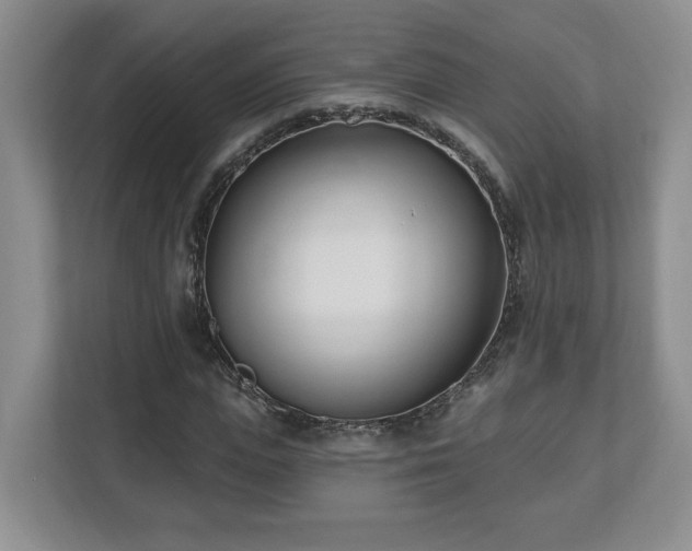 X0000112540823200908241525