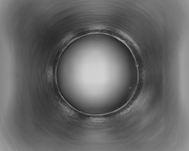 X0000112540825200908241525