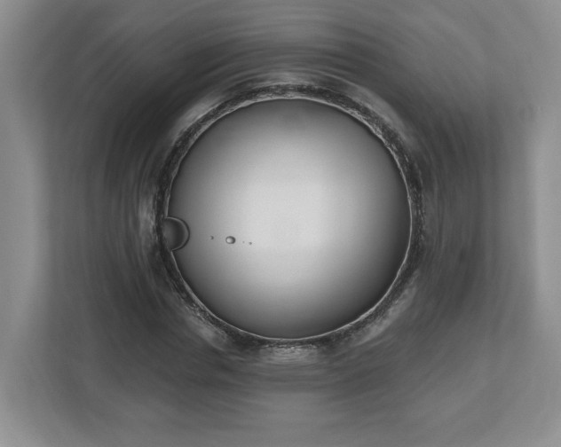X0000112540826200908241525